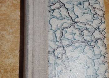 Bolesław Prus -Dziwni Ludzi- Pierwodruk z 1914r.,okazja bibliofilska