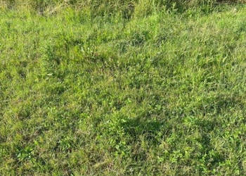 Oferta sprzedaży gruntu 1000m2 Jarosławiec
