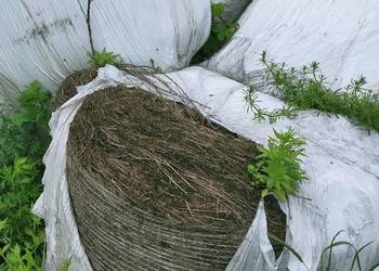 Siano, słoma Sianokiszonka na podściał Siano, słoma Sianokiszonka na podściał