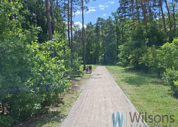 Grunt Sulejówek Okuniewska 20000m2
