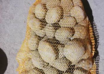 Sprzedam ziemniaki jadalne Jurek Soraya