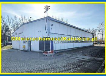 Hala wolnostojąca do wynajęcia Mysłowice, parking, plac biura, socjal.