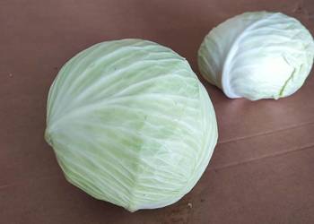 Kapusta biała z transportem