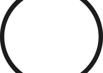 Pierścień uszczelniający o-ring 42 mm 920557026