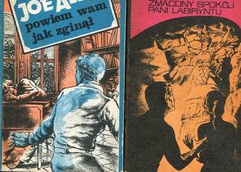 Powiem wam jak zginął, Zmącony spokój pani labiryntu  - Joe Alex