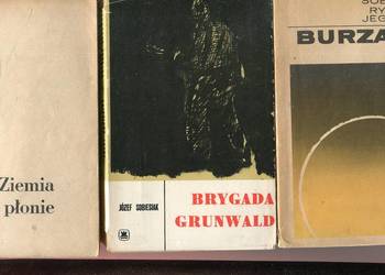 Burzany Brygada Grunwald  Ziemia płonie- Sobiesiak