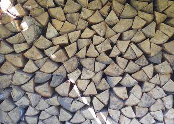 Drewno sezonowane brzoza dąb osika sosna