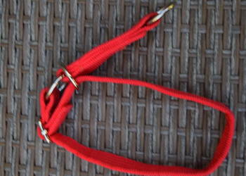 Obroża Pół Zaciskowa Regulowana 25-40 cm*Olsztyn Dajtki