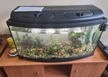 Akwarium 120l z filtrem zew I akcesoriami