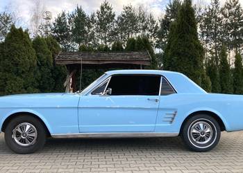 1966 Ford Mustang Oldtimer