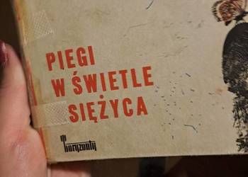 Piegi w świetle księżyca