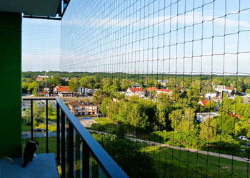 Montowanie siatek przeciw ptakom Warszawa Siatka na Balkon Dla kota Montaż