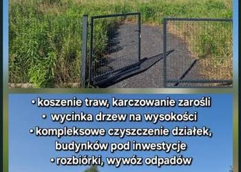 Koszenie trawy, karczowanie zarośli, wycinka drzew , prace porządkowe