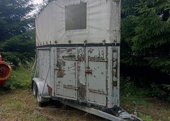 Przyczepa do przewozu koni bydła  zarejestrowana jako SAM DMC 1900kg