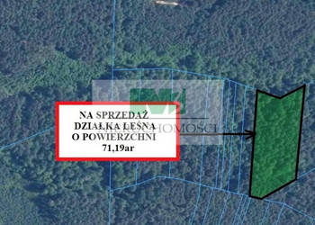 DO SPRZEDAŻY DZIAŁKA LEŚNA W GIEDLAROWEJ