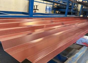 Blacha Trapezowa + opcja filcu - Zduny