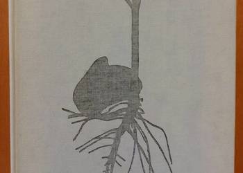 Fizjologia roślin  Zurzycki J. Michniewicz M.