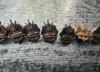 Przypinki wojskowe LWP z PRL-u