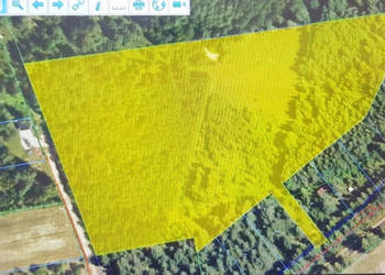 Działka 2,82 ha na sprzedaż – Wiluki