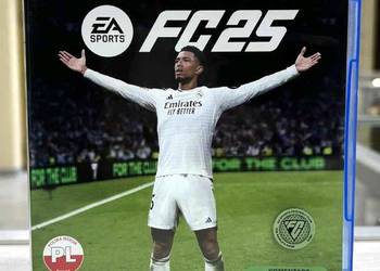 Gra Ps5 Fc 25