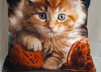 Pluszowy kociak  na poduszce, sprzedam