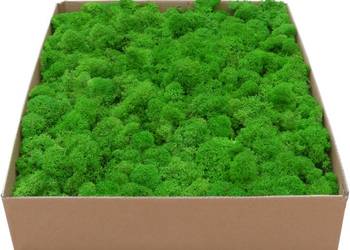 Mech Chrobotek PREMIUM Apple Green Karton 1kg