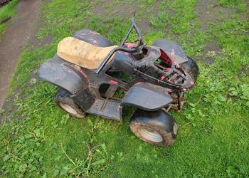 Mały quad