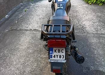 Barton dafier
