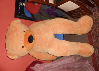 Pluszowy miś - 170 cm .