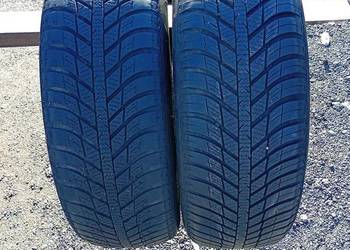 Opony zimowe 215 60 17 nexen