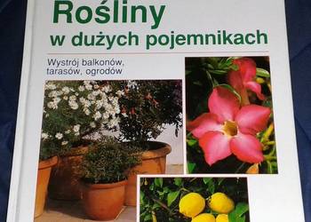 Rośliny w dużych pojemnikach - Klock Peter