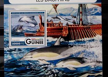 Gwinea ( delfiny) 4