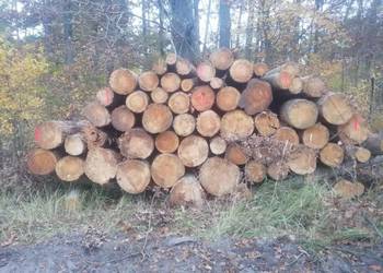 Drewno opałowe - SUCHE wałki dębowe oraz sosnowe! Możliwy transport