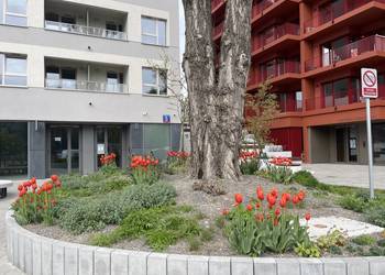 Do wynajęcia new apartment for rent Woloska Galeria Mokotów