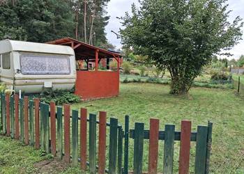 Sprzedamogródek działkowy ROD w Koszalinie