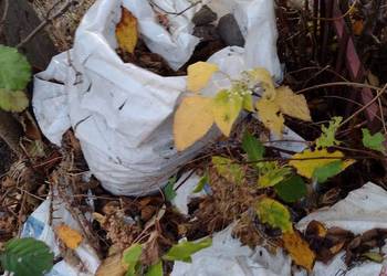 Sprzedam drobny gruz budowlany.
Odbiór osobisty.