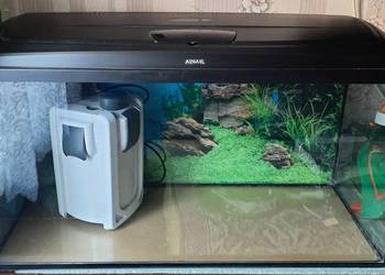 Akwarium sprzedam
