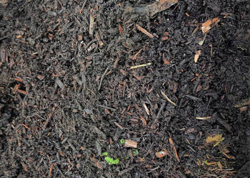 Substrat Humusowy z Kompostowanych Pozostałości Pozrębowych