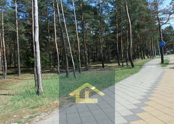 Teren do wynajęcia.