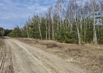 Syndyk sprzeda udział 1/12 Tyczyn, Sieradzkie