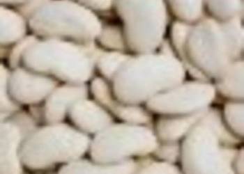 Sprzedam ziemniaki sadzeniaki odmiany Vega