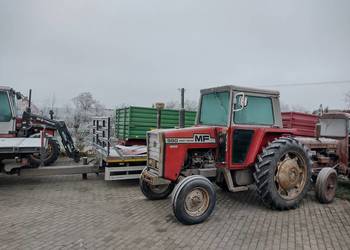 Ciągnik rolniczy Massey Ferguson 590 sprowadzony orginalny stan