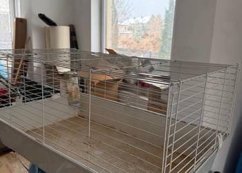 Klatka 96 x 57cm dla śwniki, chomika ...