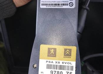 Zestaw do diagnostyki psa diagbox lexia torba