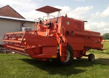 Daszek bizon z056