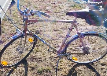 Rower trekkingowy Herkules