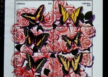 Liberia motyle 4