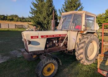 David Brown 1210