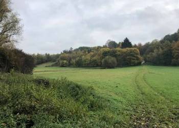 Działka 1677m przy wąwozie Rzeczyca Kolonia Kazimierz Dolny