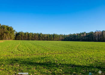 Działka Śródborze 128499 metrów